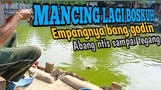 Mancing Di kolam Pemancingan Ikan Mas Lomba Mingguan Empang Viral Bang Godin