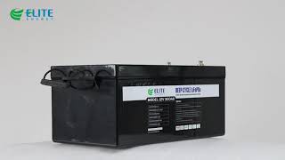 OEM 100Ah 200Ah 300Ah 12V LiFePO4 Battery Pack For ESS UPS