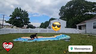 Summer 2024 - NY #summer #slide #pool #slipandslide #shortvideo #funnyvideo #verano #longisland #fun