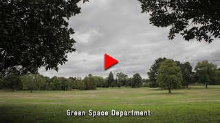 Green Space Service