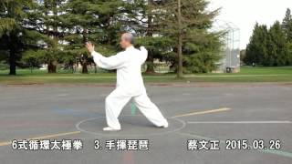 6式循環太極拳背向慢動作 (2015.03.26)  6 Form Circulating Tai Chi  Slow moving (Back View)