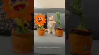 #funny #funnyshorts #funnyvideo #cat #cats #catlover #shorts #shortsvideo #video #comedy #viral #fun