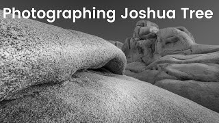 Photographing Joshua Tree National Park