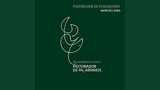 Pastorador de Passarinhos