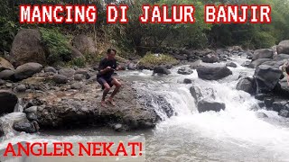 Gak Nyangka! Jalur Banjir Jadi Tempat Ikan Babon Melipir