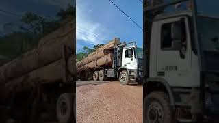 Truk Hino Muatan Kayu Besar di Kalimantan