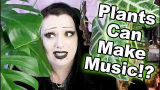 Listening to... MY PLANTS? | Toxic Tears