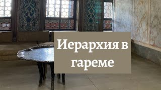 Иерархия в гареме.