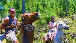 Adventure Horse Riding Fiji.