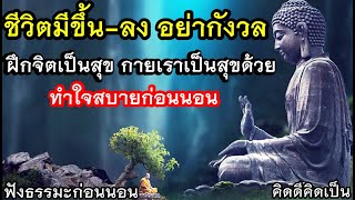 ชีวิตเรามีทั้งขึ้น-ลง ฝึกจิตเป็นสุข ทำใจสบาย🙏ฟังธรรมะก่อนนอน(1014)6