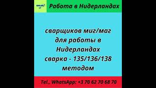 Работа в Европе. Работа в Нидерландах. Сварщики МИГ/МАГ #вакансии #ремонт #стройка