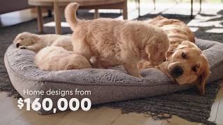 New Generation Homes | TVC | Puppy Mischief 15s