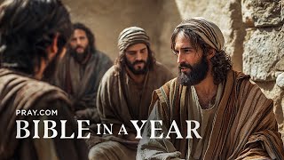 201. The Good Samaritan - The Gospels | Bible in a Year