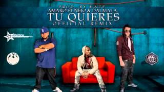 Amaro Ft ñejo  Dalmata   Tu Quieres nuevo Official Remix