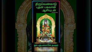 புதபகவான்💚  #thiruvenkadu #bhudhan #mercury