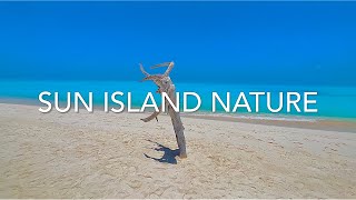 SUN ISLAND RESORT & SPA VILLA PARK MALDIVES NATURE 4K 60FPS HDR DOLBY VISION