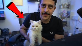 بث أوسمز 🔴 : نسولف معكم انا و أركو 🐱🤍