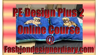 PE design +2 software course