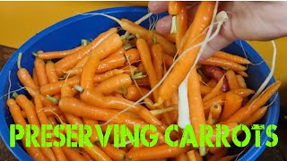 Preserving Carrots