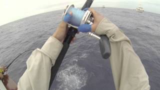 Flying Tuna - Independence Sportfishing 7 day Sept 14-21,2013 Teaser video