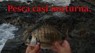 Pesca casi nocturna. VLOG34