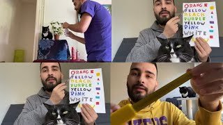 ASMR CRANIAL NERVE EXAM (Compilation with Kobe 🐈‍⬛)