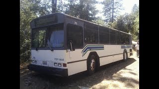 7/8/18 Ex-County Connection (CCCTA) 1981 Gillig Phantoms 102 & 121