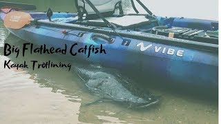 Monster Flathead Catfish | Kayak Trotline Hotdogs