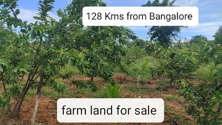 4 Acres Farm land for sale ( 7338197726 ) 128 Kms from Bangalore