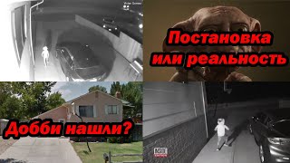 Шок! Добби нашли! Кто оказался монстром из американского видео?