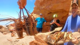 CAPTUREI AS LAGOSTAS E PREPAREI NA PRAIA - COMENDO LAGOSTAS COM OS INSCRITOS DO CANAL !