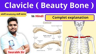 Clavicle  || Bones of upper limb || Skeleton system || for Neet, Nursing ,Pharmacy students