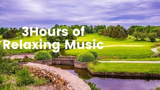 3Hours of Relaxing Music- Peaceful Music-Sleep Music with Rain Sound- Piano Music for Stress Relief