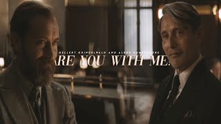 Albus Dumbledore + Gellert Grindelwald | Are you with me? (little spoilers from FB3)