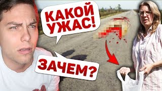 УЖАСНО ЭКОНОМНАЯ СЕМЬЯ ЕСТ СБИТЫХ ЖИВОТНЫХ [трэш-шоу]