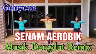 SENAM AEROBIK MUSIK DANGDUT REMIX BIKIN GOBYOSS