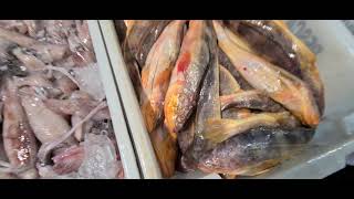 Vamos as compras de peixes no ceasa #compras #food #brasil #youtube