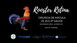 CIRURGIA DE MÁCULA23, 25 E 27 GAUGE | Rooster Retina aula 19 | Dr Rodrigo Jorge HCFMRP USP