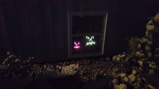 Halloween strobes