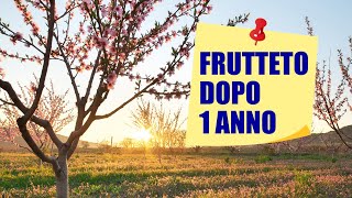 Nuovo frutteto, un anno dopo