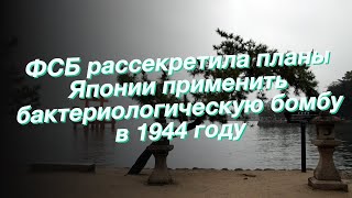 ФСБ рассекретила планы Японии применить бактериологическую бомбу в 1944 году