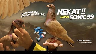 PERDANA BAWA SATU PASANG MERPATI SONIC 99 TURUN DI EVENT PUTARAN NASIONAL PMTI LAPAK BAJA CIGOMBONG