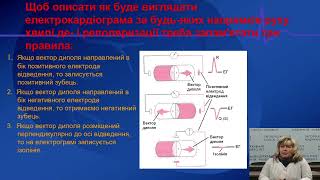 “Методика реєстрації та оцінювання ЕКГ, результатів добового моніторування ЕКГ”