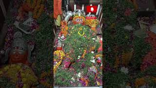 bade Hanuman ji prayagraj sangam #shorts #video #shortvideo #latest #trendingshorts #ytshort