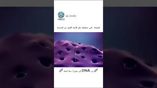 🧬 من DNA إلى بروتين: رحلة الحياة 🧬