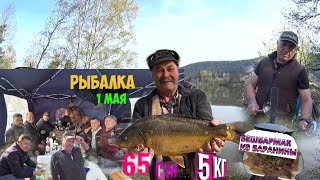 1 Мая рыбалка в Германии 🐟 Бешбармак из Баранины