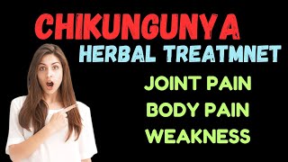 Chikungunya treatment  | chickunguniya ka herbal ilaj | joints pain| weakness