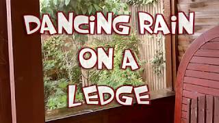 DANCING RAIN ON A LEDGE  SMOOTH RAIN SOUNDS