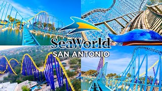 Roller Coasters at SeaWorld San Antonio | Texas Stingray, Steel Eel, Wave Breaker