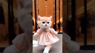 Just walk girl...💖💃#trending #shortsvideo #catvideos #cat #cute